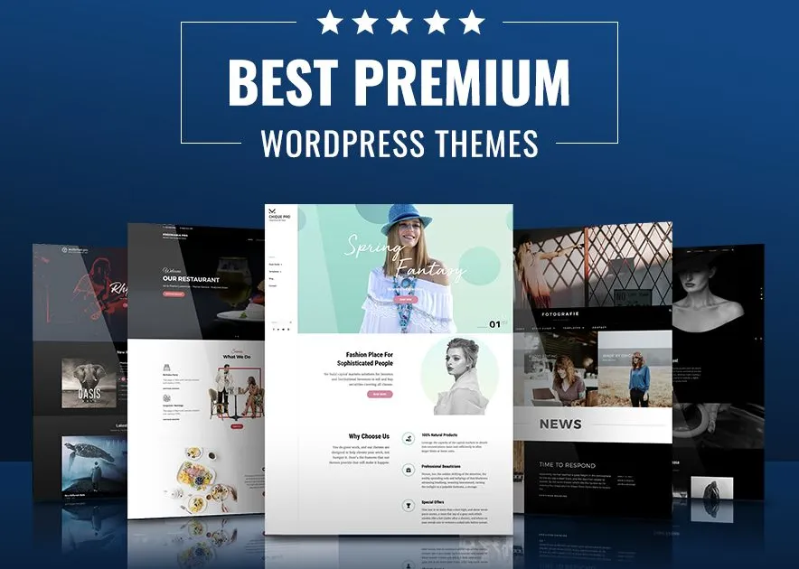 Os melhores temas premium do WordPress