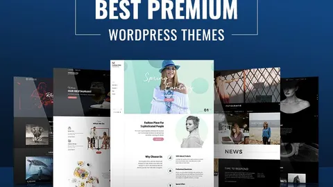 Os melhores temas premium do WordPress