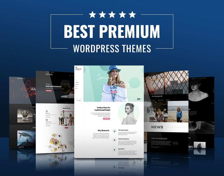 Os melhores temas premium do WordPress